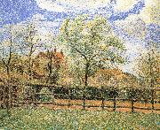 Camille Pissarro Pear trees bloom in the morning oil painting artist